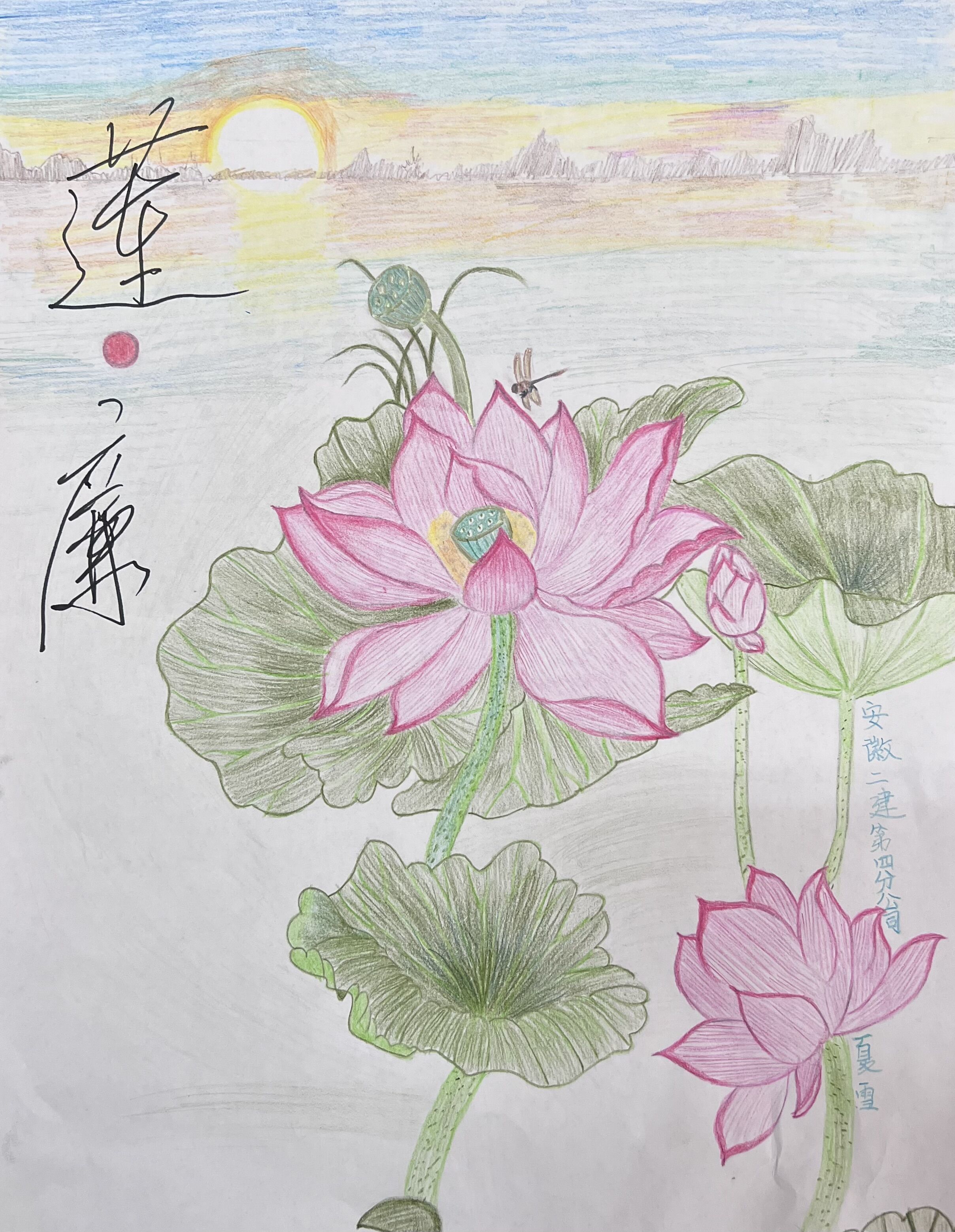 Ӯ(VWIN)ٷվ-ACٷ